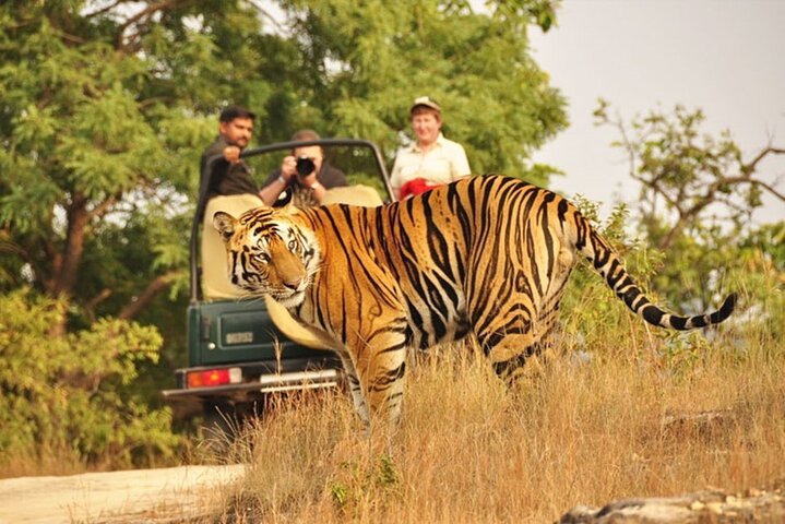 Swai Madhopur Tour