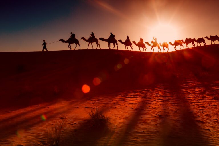 Camel caravan going through the desert